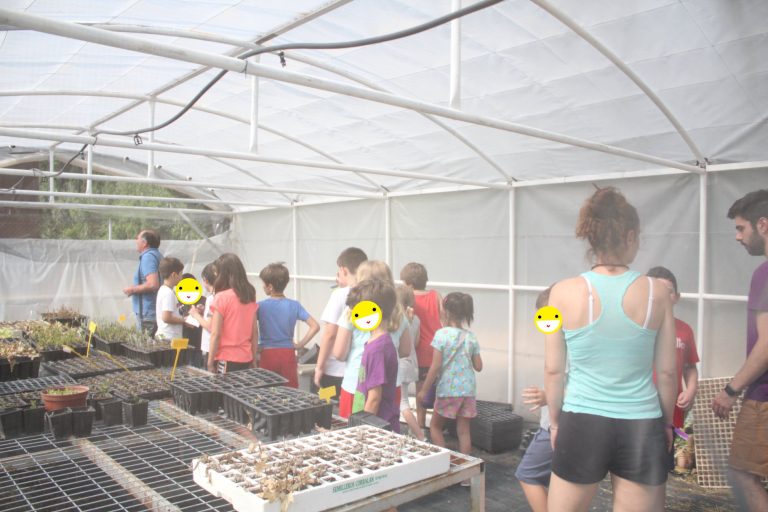 66273540_656080021573282_7201808227154001920_o