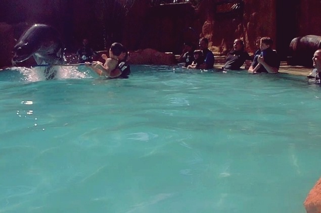 66612975_660443361136948_197108380064546816_n